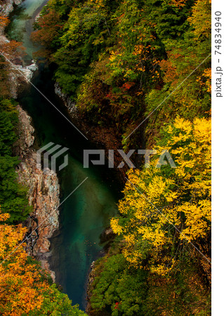 紅葉の渓谷⑭／小安峡・秋田県 74834940