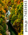紅葉の渓谷⑮／小安峡・秋田県 74834943