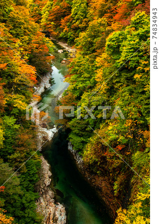 紅葉の渓谷⑮／小安峡・秋田県 74834943