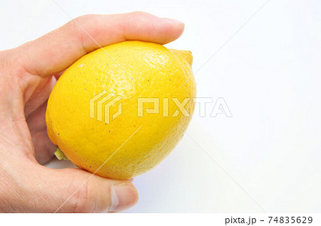 もぎたての瀬戸田レモン 74835629