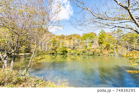 愛知・茶臼山高原の紅葉 74836295