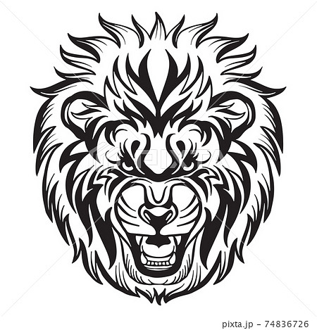 Vector Head Of Mascot Lion Isolated On Whiteのイラスト素材