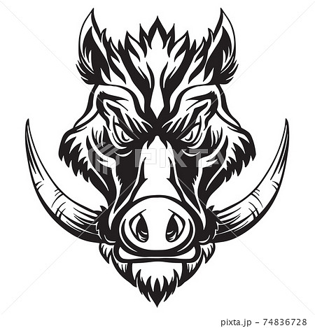 Vector Head Of Mascot Boar Isolated On Whiteのイラスト素材