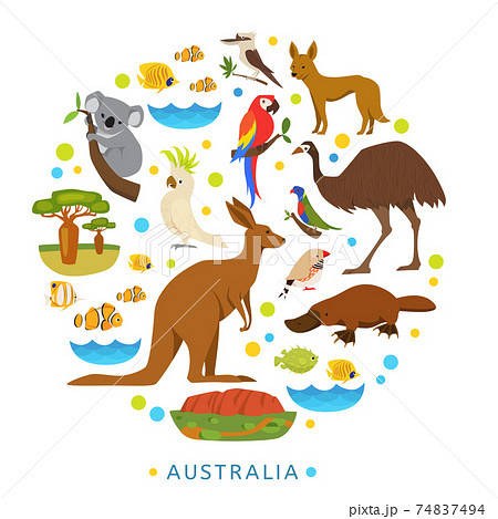 Birds and animals of Australia in round design. - Stock Illustration  [74837494] - PIXTA