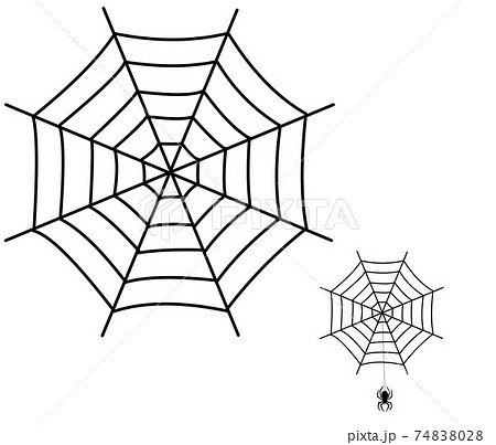蜘蛛の巣と吊るクモのイラスト素材