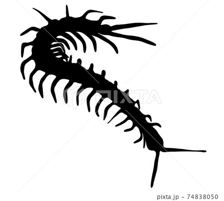 危険なムカデのシルエットのイラスト素材
