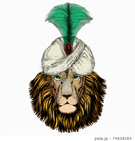 Lion. Portrait of wild lion. Animal and wizard hat. Sorcerer and magican Lion. Portrait of wild lion. Animal and wizard hat. Sorcerer and magican 74838264