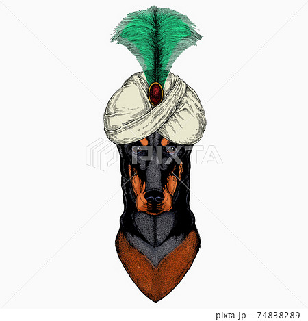 Doberman portrait in a captain cap with sunglasses. Animal and wizard hat. Sorcerer and magican Doberman portrait in a captain cap with sunglasses. Animal and wizard hat. Sorcerer and magican 74838289