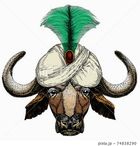 Buffalo Bison Mascot Head Animal Portrait のイラスト素材 7490 Buffalo Bison Mascot Head Animal Portrait のイラスト素材 7490