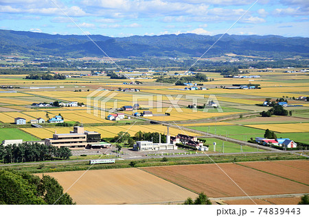 由仁町役場前の室蘭本線を行く普通列車 由仁町役場前の室蘭本線を行く普通列車 74839443