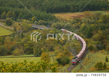 峠路のカーブを行く貨物列車 74839756