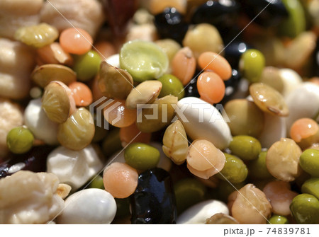 grain beans, lentils, chickpeas grain beans, lentils, chickpeas 74839781
