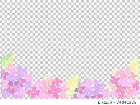 水彩で描いた紫陽花のイラスト 74841228
