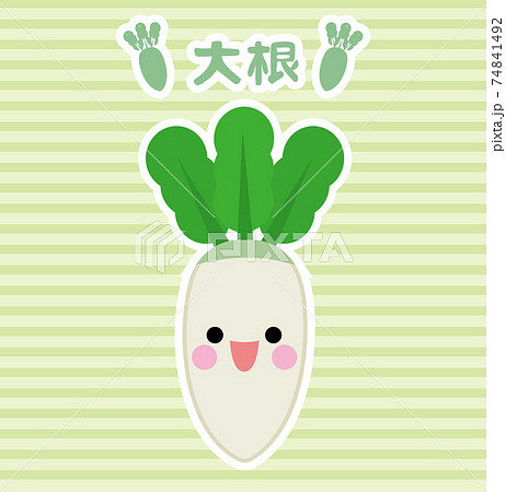 野菜/大根 74841492