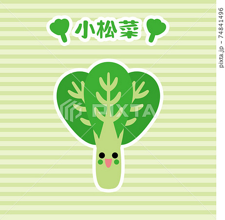 野菜/小松菜 野菜/小松菜 74841496