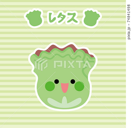 野菜/レタス 74841498