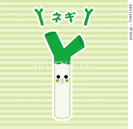 野菜/ネギ 74841499