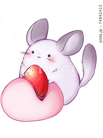 チンチラといちご大福のイラスト素材
