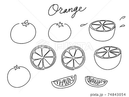 一筆書き みかん 白黒 モノクロ オレンジ グレープフルーツのイラスト素材