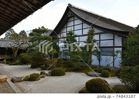 冬の西教寺 冬の西教寺 74843107