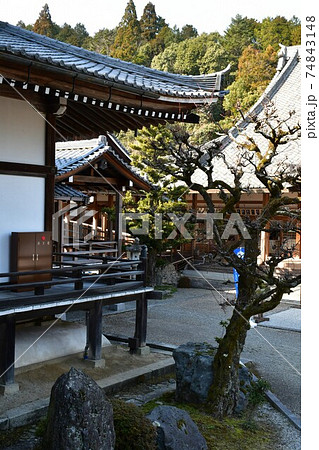 冬の西教寺 74843148