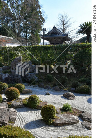 冬の西教寺 冬の西教寺 74843166