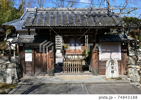冬の西教寺 冬の西教寺 74843188