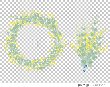 含羞草花環和贓物材料 74843538