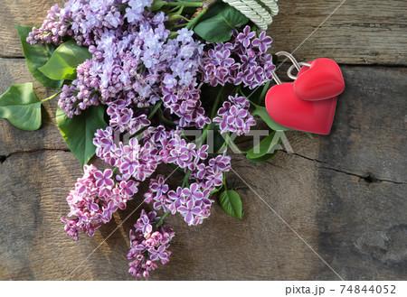 Beautiful spring lilac Beautiful spring lilac 74844052