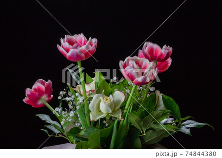 Bouquet of flowers on a black background. Red and white tulips and white roses. Bouquet of flowers on a black background. Red and white tulips and white roses. 74844380
