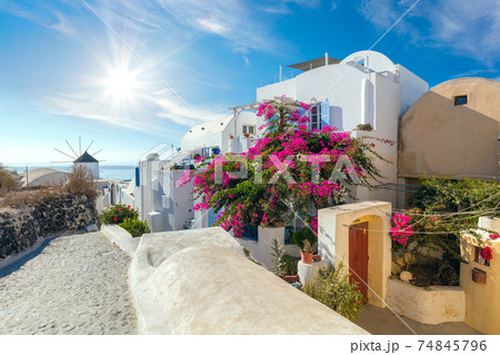 Famous Oia street with blooming flowers in the summer, Santorini, Greece Famous Oia street with blooming flowers in the summer, Santorini, Greece 74845796