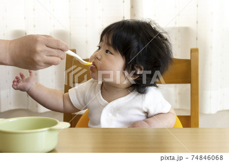 離乳食を食べる赤ちゃん(0歳、生後7カ月、女の子、日本人) 離乳食を食べる赤ちゃん(0歳、生後7カ月、女の子、日本人) 74846068