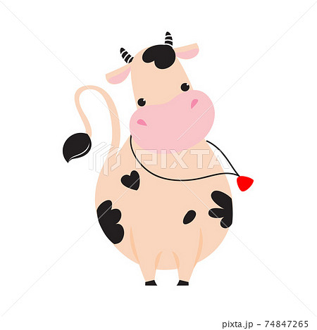 Lovely Baby Cow with Bell, Adorable Funny Farm Animal Cartoon Character Vector Illustration 74847265