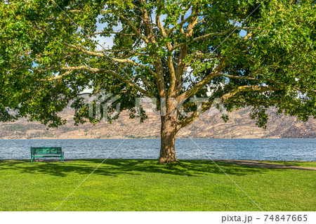 Lonely bench on a lake shore with mountains overview under the chestnut tree Lonely bench on a lake shore with mountains overview under the chestnut tree 74847665