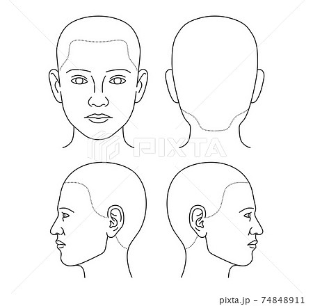 カルテ 人体図 顔のイラスト素材
