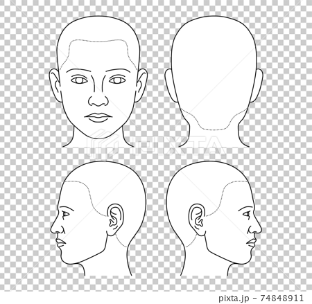 カルテ 人体図 顔のイラスト素材