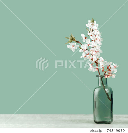 Spring blooming tree branches in a vase on tender soft blue 74849030