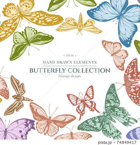 Design with pastel colored great orange-tip, emerald swallowtail, plain tiger, rajah brooke s Design with pastel colored great orange-tip, emerald swallowtail, plain tiger, rajah brooke s 74849417