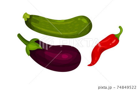 Ripe Vegetables as Healthy Raw Food with Eggplant and Pepper Vector Set Ripe Vegetables as Healthy Raw Food with Eggplant and Pepper Vector Set 74849522