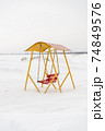 An old swing against the background of a snowy shore. 74849576