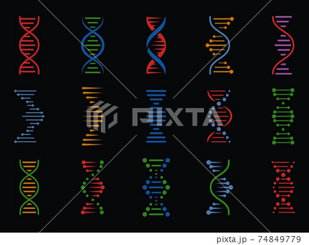 DNA signs. Human chromosome genetic spiral structure, genome helix. Biotechnology molecular icons, isolated vector elements 74849779