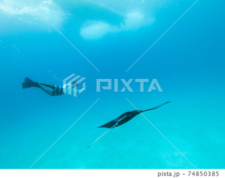 Underwater view of hovering Giant oceanic manta ray, Manta Birostris , and man free diving in blue ocean. Watching undersea world during adventure snorkeling tour on Maldives islands. Underwater view of hovering Giant oceanic manta ray, Manta Birostris , and man free diving in blue ocean. Watching undersea world during adventure snorkeling tour on Maldives islands. 74850385