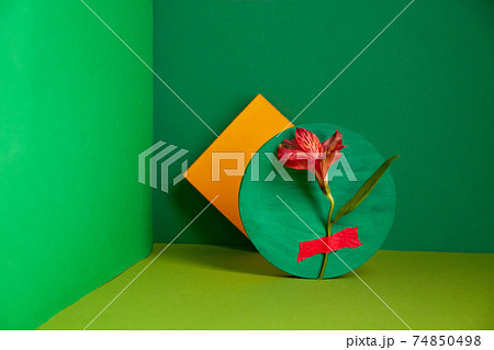 Composition of fresh Alstroemeria flower and yellow sticky notes in green studio Composition of fresh Alstroemeria flower and yellow sticky notes in green studio 74850498
