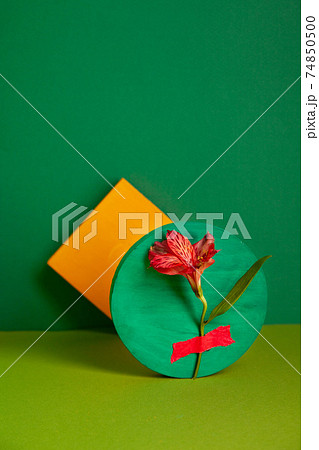 Composition of fresh Alstroemeria flower and yellow sticky notes in green studio Composition of fresh Alstroemeria flower and yellow sticky notes in green studio 74850500