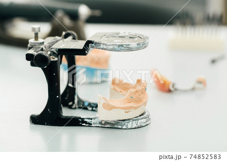 Model of teeth made of plaster of the jaw for dental technicians 74852583