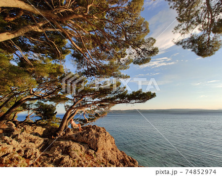 Pensive woman on vacations, sitting and relaxing under large pine tree on bench by dip blue sea enjoying beautiful sunset light in Brela, Makarska region, Dalmatia, Croatia 74852974
