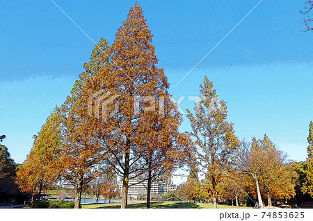 平和公園点景 74853625