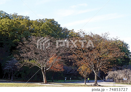 平和公園点景 平和公園点景 74853727