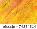 Glittering abstract painted background. 74854614