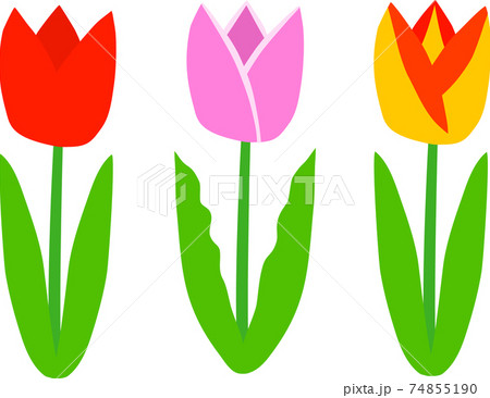 チューリップセット 74855190